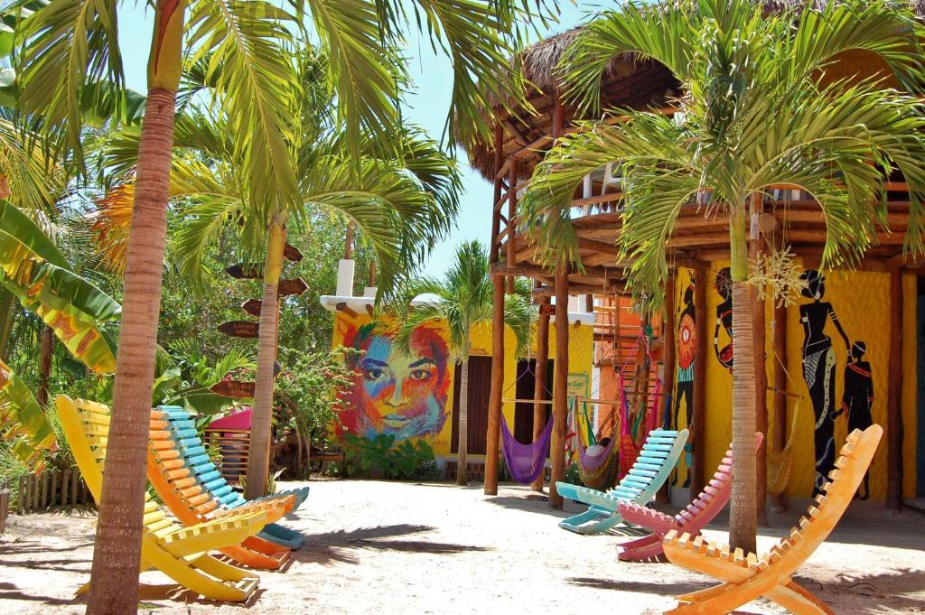 Tribu Albergue