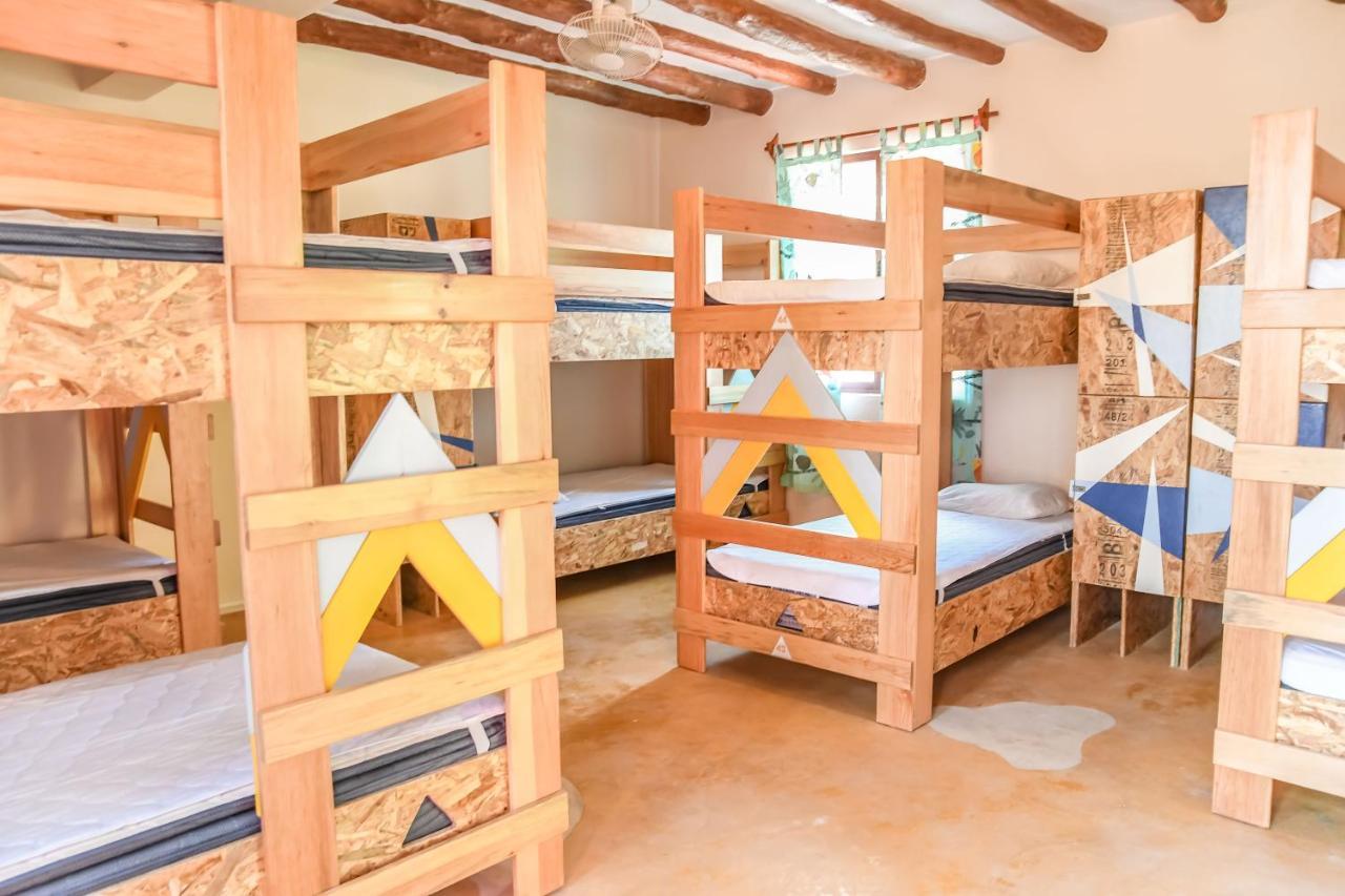 Tribu Albergue